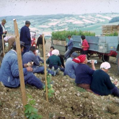 Bild 84 Gr